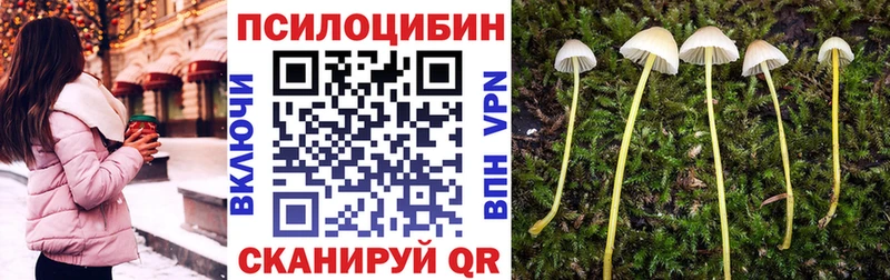 blacksprut зеркало даркнет сайт Строитель Псилоцибиновые грибы мухоморы